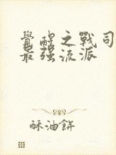 觉醒之战司空震最强流派