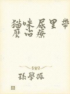 猫咪尿里带血怎么治疗