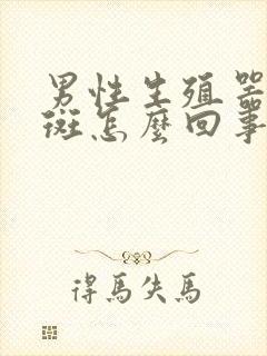 男性生殖器长红斑怎么回事