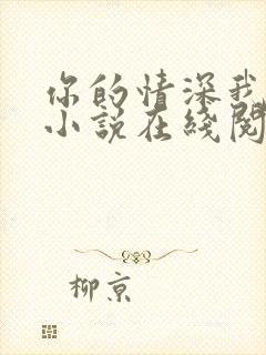 你的情深我不配小说在线阅读