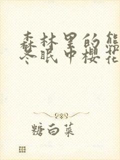 森林里的熊先生冬眠中樱花