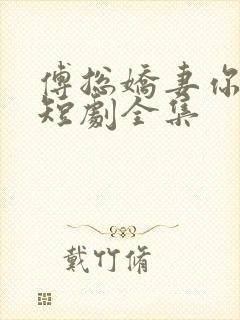 傅总娇妻你别逃短剧全集