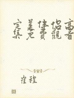 完美伴侣高清全集免费观看