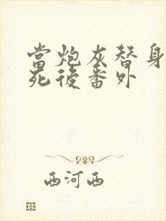 当炮灰替身的我死后番外