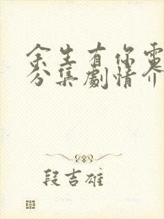 余生有你电视剧分集剧情介绍封面