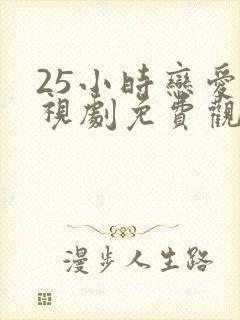 25小时恋爱电视剧免费观看完整版