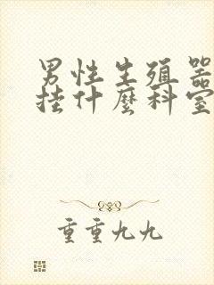 男性生殖器问题挂什么科室