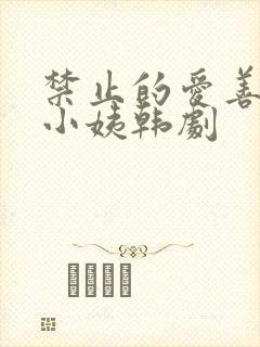 禁止的爱善良的小姨韩剧封面