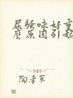 尿骚味好重是什么原因引起的