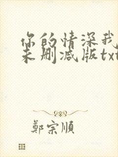 你的情深我不配未删减版txt下载