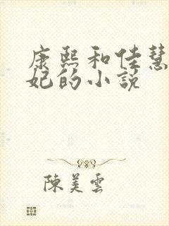 康熙和佳慧太子妃的小说