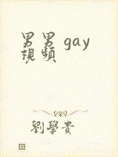 男男 gay 视频