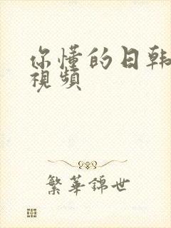 你懂的日韩欧美视频