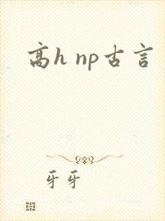 高h np古言
