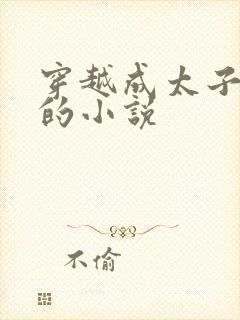 穿越成太子王安的小说