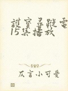 护宝寻踪电视剧15集播放