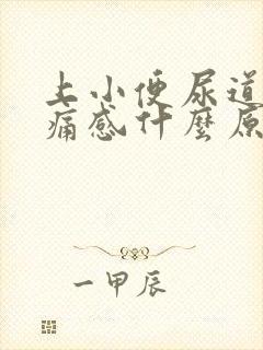 上小便尿道有刺痛感什么原因