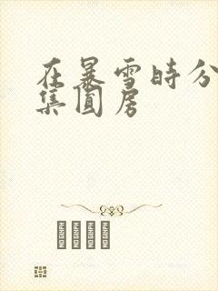 在暴雪时分多少集圆房封面