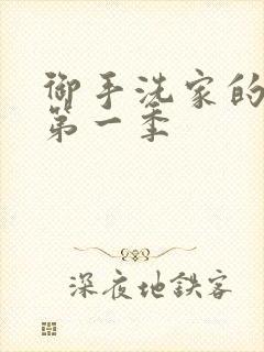 御手洗家的墙洞第一季