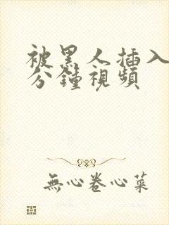 被黑人插入30分钟视频