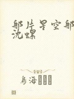 那片星空那片海沈螺