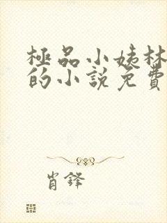 极品小姨林浩云的小说免费阅读