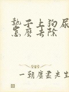 垫子上狗尿骚味怎么去除