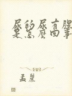 尿的尿有腥臭味是怎么回事