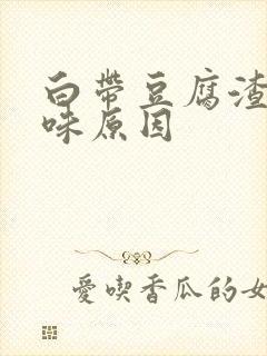 白带豆腐渣有臭味原因