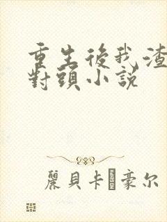 重生后我渣了死对头小说封面