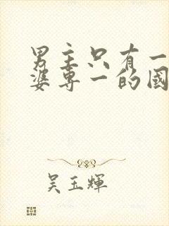 男主只有一个老婆专一的国漫封面