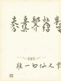 夫妻那些事剧情分集介绍 电视剧