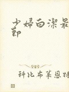 少妇白洁最新章节封面