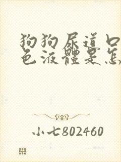 狗狗尿道口有黄色液体是怎么回事