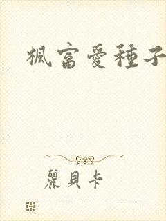 枫富爱种子封面