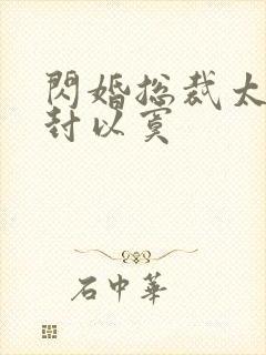 闪婚总裁太霸道封以寞