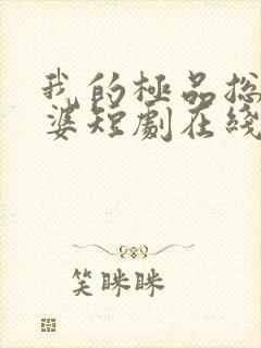 我的极品总裁老婆短剧在线观看免费高清