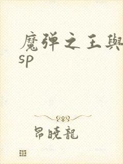 魔弹之王与战姬sp封面