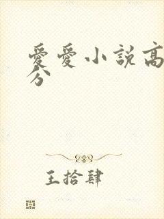 爱爱小说高潮部分封面