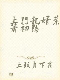 上门龙婿叶辰 萧初然