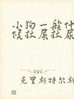 小狗一般什么时候拉屎拉尿