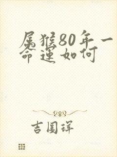 属猴80年一生命运如何
