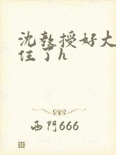 沈教授好大含不住了h