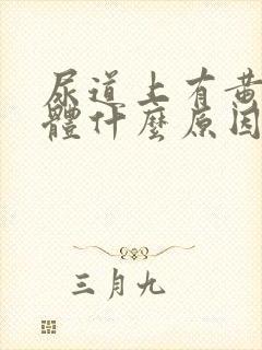 尿道上有黄色液体什么原因