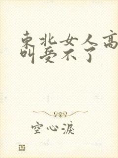 东北女人高潮大叫受不了封面