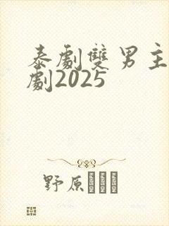 泰剧双男主电视剧2025