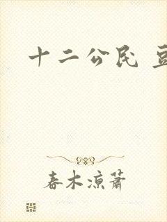 十二公民 豆瓣封面
