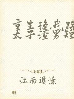 重生后,我踹了太子渣男短剧