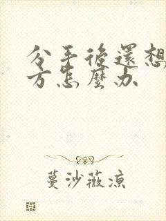 分手后还想着对方怎么办封面