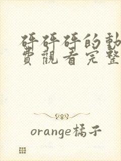 砰砰砰的动漫免费观看完整版高清网